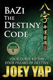 Bazi The Destiny Code Book 1