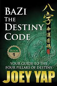 bazi the destiny code book 1