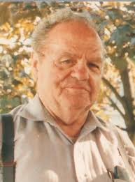 Daniel Witmer Obituary (2011)