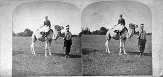 Although they rarely travelled faster than the walking speed of a person. Joe Herring Jr What Happened To The Camp Verde Camels Here S Where 14 Ended Up