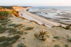 Maybe you would like to learn more about one of these? The 7 Best Campgrounds Near Cape Cod