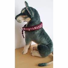Ruhn eure hände jetzt bei euch aus. Tolles Hunde Halsband Aus Dem Hause Knotenwerke