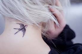 Kus Dovmeleri Bird Tattoos Panosundaki Pin
