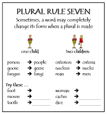 How do you think about the answers? Plural Rule 7 Teaching Spelling Spelling Rules English Spelling Rules