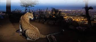 Sanjay Gandhi National Park