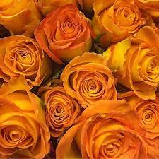 Ratings include delivery options, price points, personalization, fresh flowers, flower variety and avas flowers confirmed my order, the delivery time and the purchase order. Pin On Orange