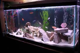 Scrub brushes with bristles, soft pad scrub pads, and a gravel wash kit are a few of the items that i would recommend. Diy Aquarium Rock Decorations