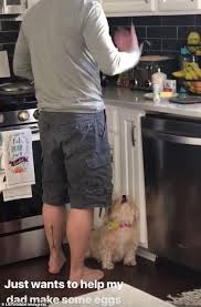 Our countertop appliances and major kitchen appliance suites are designed to help achieve all your culinary goals. Https Www Dailymail Co Uk Tvshowbiz Article 6415949 Mandy Moore Catches Thief Stealing Packages Driveway Camera Html 2018 11 22t04 50 17z Yearly 0 7 Https I Dailymail Co Uk 1s 2018 11 21 22 6491522 6415949 Image A 14 1542838422366 Jpg