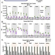 About on s'en bat les couilles. Pdf Nad Flux Is Maintained In Aged Mice