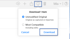 Freeware app think is designed to bring the distr. The Master Guide To Icloud Photos In 2019
