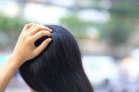 In some cases, the itchiness. Tingling Scalp Causes Symptoms And Treatment