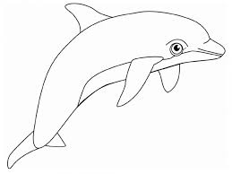 Dolphin coloring sheet cute dolphins colouring pages in at of. Winter The Dolphin Coloring Pages Coloring Home