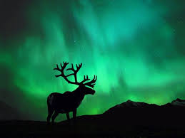 Arctic Climate Change Photos Arctic Wallpapers National Geographic Pictures Northern Lights Alaska Northern Lights Aurora Borealis Northern Lights