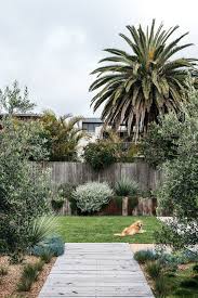 Dover Heights In 2020 Landscape Design Australian Garden Design Coastal Gardens