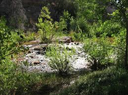 Islands in the stream...that is what we are. - Simply Clearly