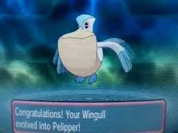 Pokemon Omega Ruby And Alpha Sapphire Wingull Evolve Into Pelipper