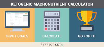 Our keto calculator helps you find the optimal macros intake for your ketogenic diet. Keto Calculator Calculate Your Macros On The Ketogenic Diet Free