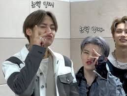 Qaedtls kpop seventeen album hoodie sweatshirt woozi wonwoo mingyu sweater pullover : Mingyu And Woozi Imitated Seventeen ì¸ë¸í´ Diary Facebook