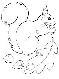Set off fireworks to wish amer. Flying Squirrel Coloring Page Squirrel Is A Rodent Mammal Squirrels Have A Sma Squirrel Coloring Page Animal Coloring Pages Fall Coloring Pages
