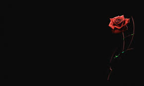 Download Black Wallpaper Minimalist High Quality Hd Wallpaper In 2k 4k 5k 8k 10k Resoluti Black Wallpaper Minimalist Wallpaper Beautiful Wallpapers Backgrounds