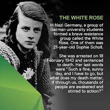 image sophie scholl's last words. 130 Sophie Scholl White Rose Ideas White Roses God Forgives Sophie