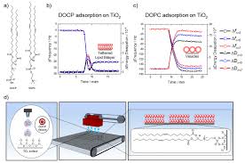 Ethanol-Induced Non-Lamellar Phases In Phospholipids - Wikipedia