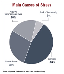 Main Causes Of Stress What Causes Stress Work Related Stress Work Stress