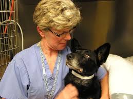 They vary based on how big they are and where exactly they are in the brain. Hope For Brain Cancer Treatment After Canine Success Mpr News