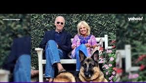 Champ and major are pet german shepherd dogs that belong to president of the united states joe biden, and his wife, first lady dr. Newsmax Dogs President Biden S Pooch As Old Ugly And Unkempt Deadline