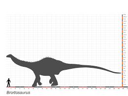 It helped the brontosaurus become one of the most identifiable and popular of all dinosaurs. Brontosaurus Excelsus Beschreibung Dinodata De