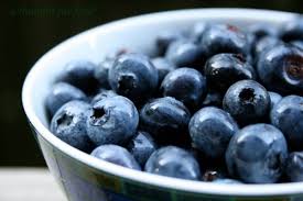 We did not find results for: Blueberry Blueberries Photo 35246980 Fanpop