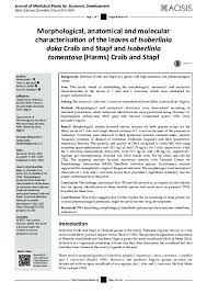 Image result for Isoberlinia tomentosa