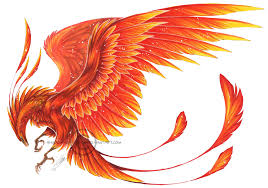 Associated with the sun, a phoenix obtains new life by arising from the ashes of its predecessor. Phoenix Tattoo Dragon And Phoenix Phoenix Tattoo Phoenix Tattoo Design