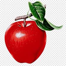 Kesegaran buah apel memang tiada tanding. Buah Apel Merah Png Pngegg