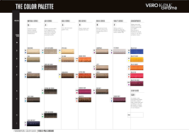 joico chrome color chart sbiroregon org