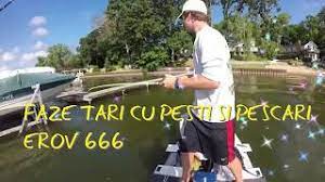 Faze Tari Cu Pesti Si Pescari Youtube