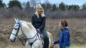 There are a number of different techniques people use to establish. How To Get Your Horse To Trust You 10 Steps With Pictures