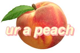 Pinterest Remyyoung Peach Aesthetic Peach Peachy
