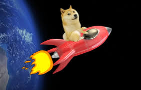 Dogecoin — the crypto token that was started as a joke and that is the favourite of elon musk — is having a bit of a moment. Https Hothardware Com News Spacex Is Really Sending Dogecoin To The Moon In 2022 With Gec Doge 1 Mission