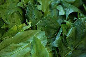 How To Cook Spinach - Great British Chefs
