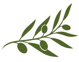 Olive Branch Stock Vector Illustration and Royalty Free Olive Branch Clipart