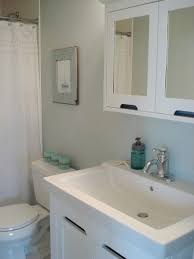 Sherwin Williams Sea Salt It S A Cool Neutral With Blue Green Undertones Drenched In Natural Light I Sea Salt Sherwin Williams Sea Salt Paint Comfort Gray