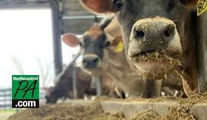 More images for cow pie trailer wash » Every Day Is Earth Day For Dairy Farmers State Wfmz Com