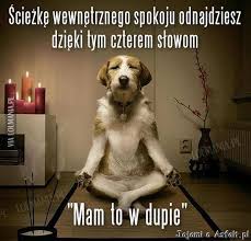 Znalezione obrazy dla zapytania super kawaÅy gify