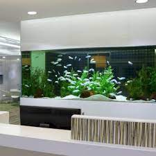 Sekat kaca dop karet penyekat aquarium akrilik cupang ikan tempelan cop supplier aquarium. 10 Ide Partisi Ruangan Tamu Paling Menarik Dan Cocok Untuk Rumah Minimalis