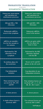 Difference Between Prokaryotic And Eukaryotic Translation Comparison Summary Transcription And Translation Molecular Biology Translation Biology