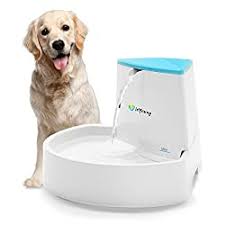 These major benefits and some limitations of these. Best Dog Water Fountain Options Small To Large Manual To Automatic