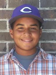 2015 News-Press All-Area Baseball