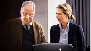 Ziur zaude txio hauek ikusi nahi dituzula? Afd Fraktionschefin Alice Weidel Im Interview Politik Inland Bild De