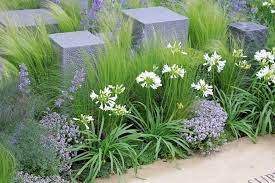 Pin On Garden